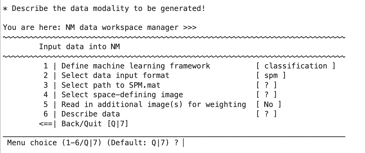 neurominer menu for data entry spm files