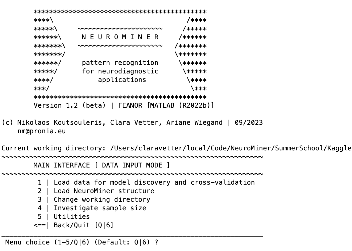 neurominer start display