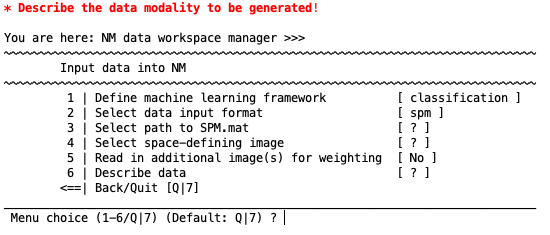 neurominer menu for data entry spm files