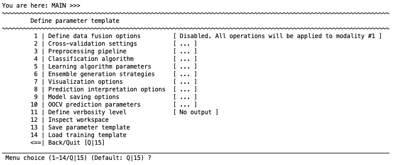 The initial parameter template setup menu of neurominer